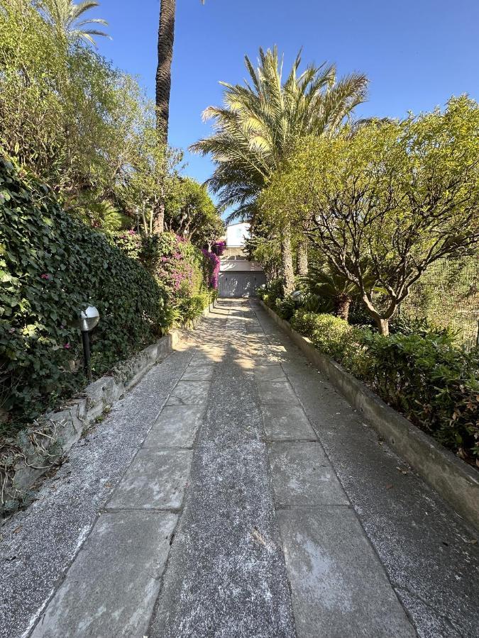 Le Rose Di Emma Villa Bordighera Eksteriør billede